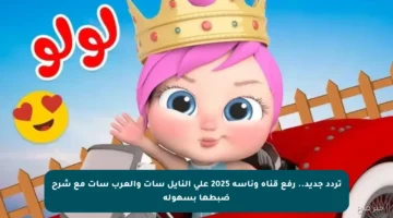 تردد جديد.. رفع قناة وناسة 2025 على النايل سات والعرب سات مع شرح ضبطها بسهولة